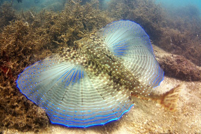 tour-to-bombinhas-with-snorkeling-experience