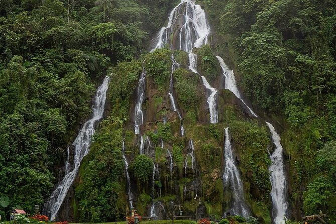 tour-to-santa-rosa-de-cabal-coffee-farm-and-hot-springs