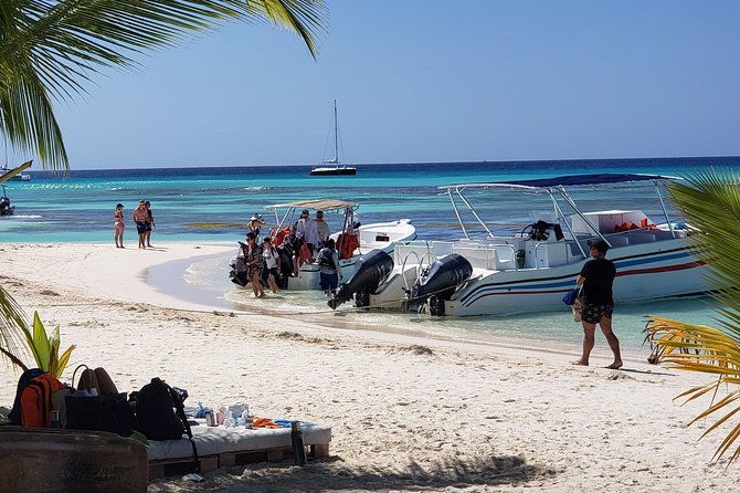 tour-to-saona-island