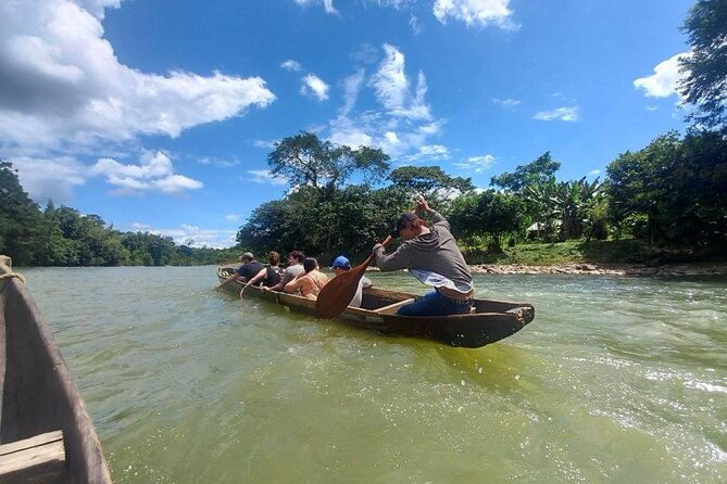 tour-to-the-amazon-for-one-day