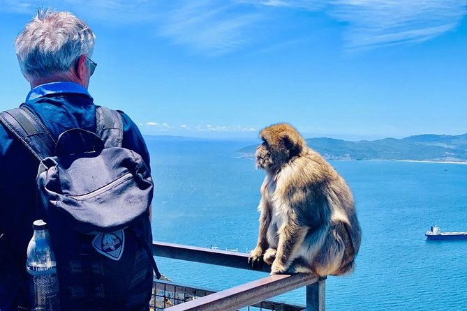 tours-of-gibraltar-standard-tour