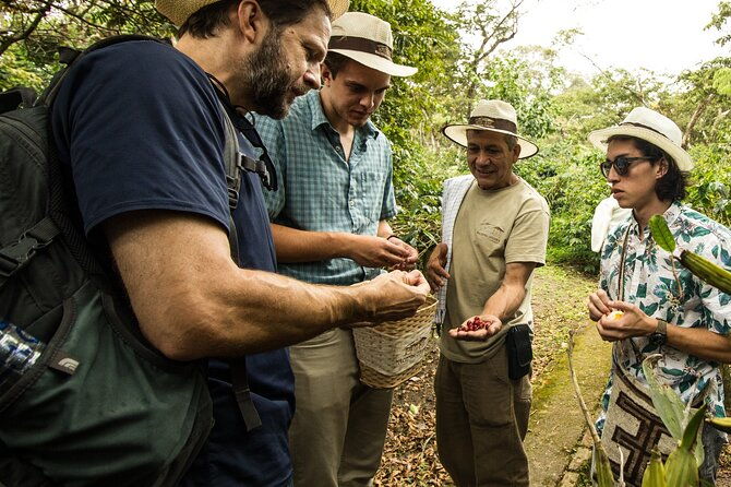 traditional-coffee-farm-experience-at-hacienda-coloma-from-bogota