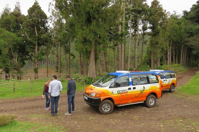 traditional-farmers-market-open-4x4-half-day-tour