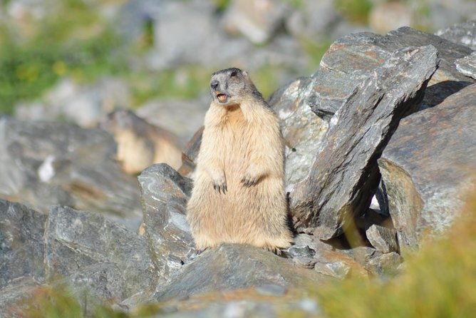 transfagarasan-vidraru-and-poenari-fortress-tour-from-sibiu