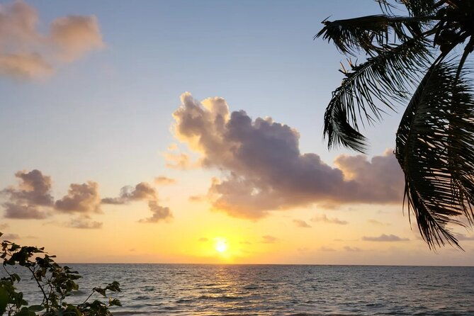 transfer-from-maceio-to-sao-miguel-dos-milagres