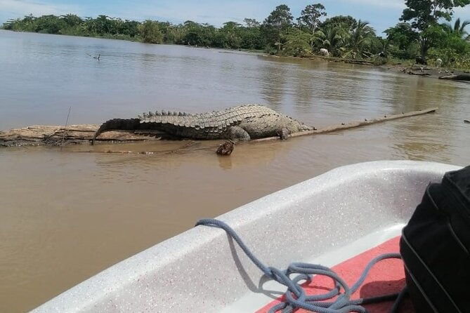 transfer-from-tortuguero-to-moin-by-boat