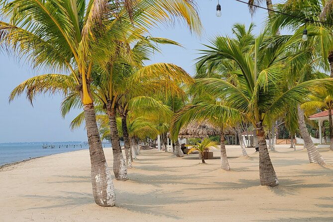 transfer-in-placencia-from-to-belize-airport-bze-and-belize-city