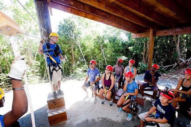 tree-limin-extreme-zipline