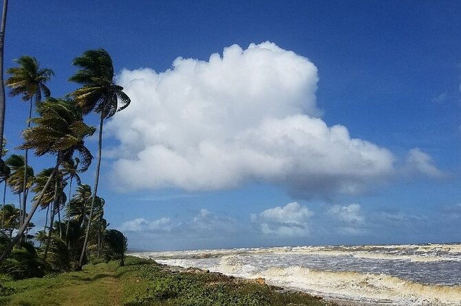 trinidad-island-circle-tour-with-pickup