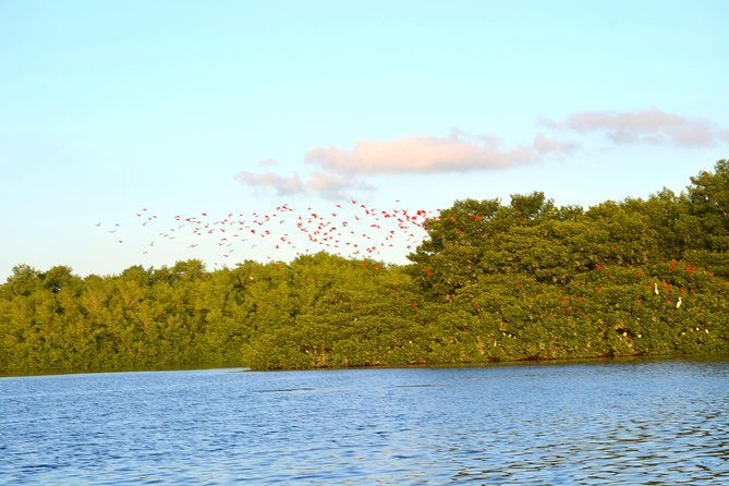 trinidad-northern-eco-cultural-full-day-highlights-tour-from-port-of-spain