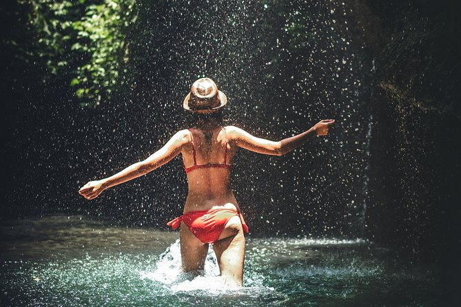trinidad-rainforest-hike-to-waterfall