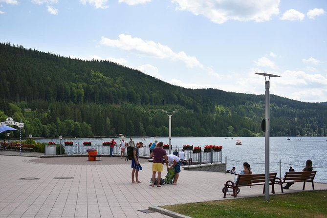 trip-from-zurich-to-germanys-black-forest-swiss-rhine-falls