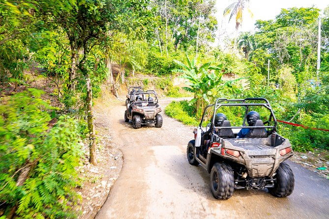 triple-fun-monkeyland-damajagua-waterfalls-buggies-from-puerto-plata