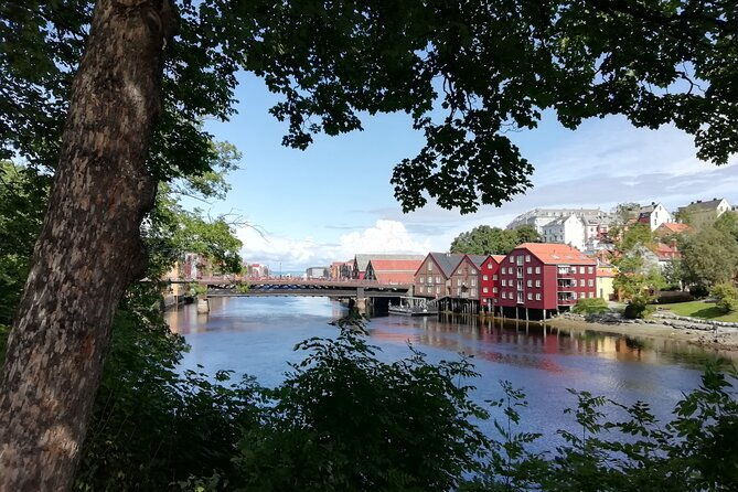 trondheim-discover-the-city-of-kings-with-a-local-guide-2