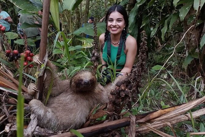 tropical-rainforest-hanging-bridges-and-jungle-sloths-sanctuary