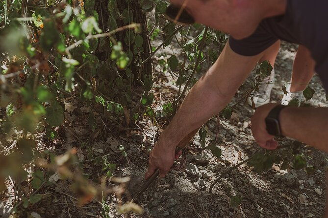 truffle-hunt-in-tuscany-2