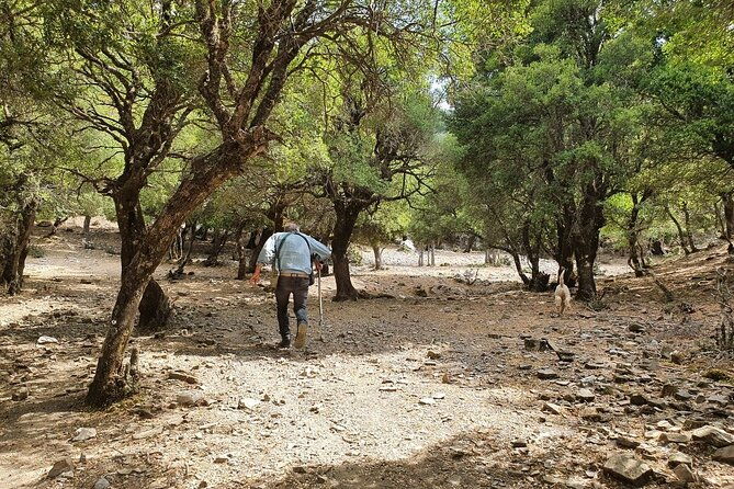 truffle-hunting-culinary-wine-celebration-from-heraklion