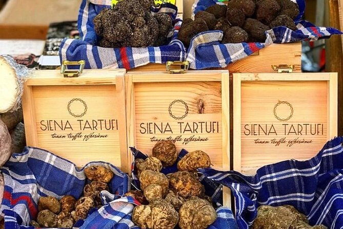 truffle-hunting-experience-siena-tartufi