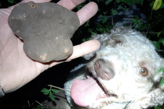 truffle-hunting-in-san-miniato-in-tuscany-with-tasting