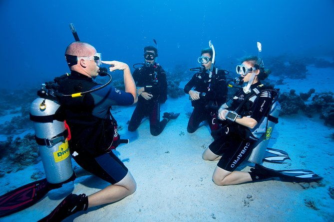 try-scuba-dive-baptism-of-the-sea