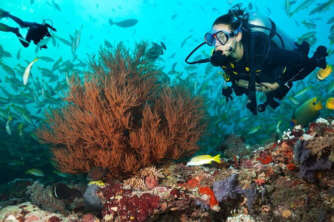 try-scuba-diving-in-kauai-from-a-boat-for-non-certified-divers