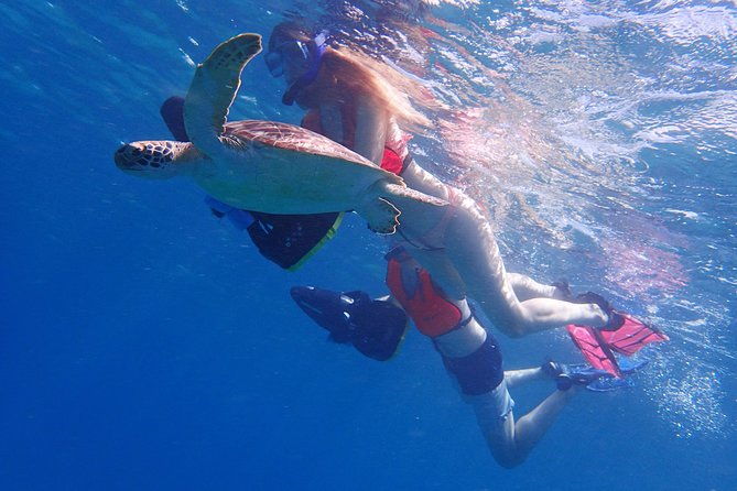 turtle-beach-power-snorkeling-adventure