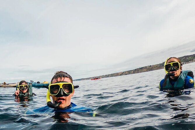 two-hour-kayak-and-snorkel-tour-for-two-in-la-jolla-2