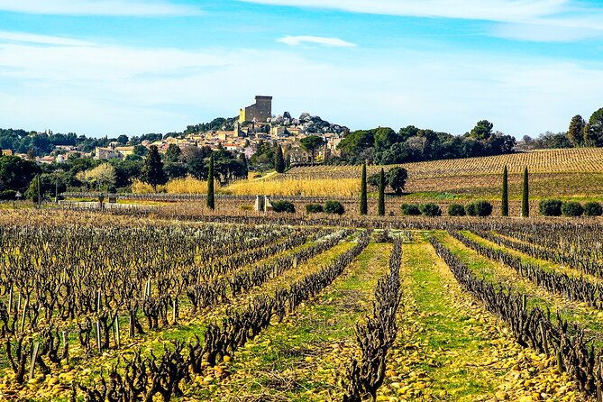 two-intensive-days-discover-exceptional-wines-of-the-rhone-valley