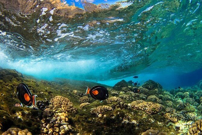 two-stop-snorkel-adventure-from-maui-2