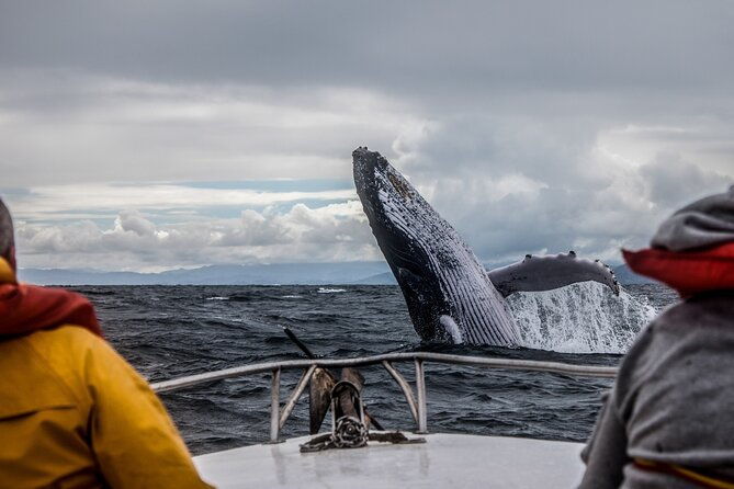 ultimate-alaskan-adventure-ocean-wildlife-to-interior-wilderness-9-day-8-nights-2