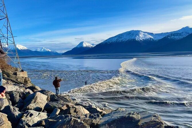 ultimate-anchorage-summer-wildlife-tour-2