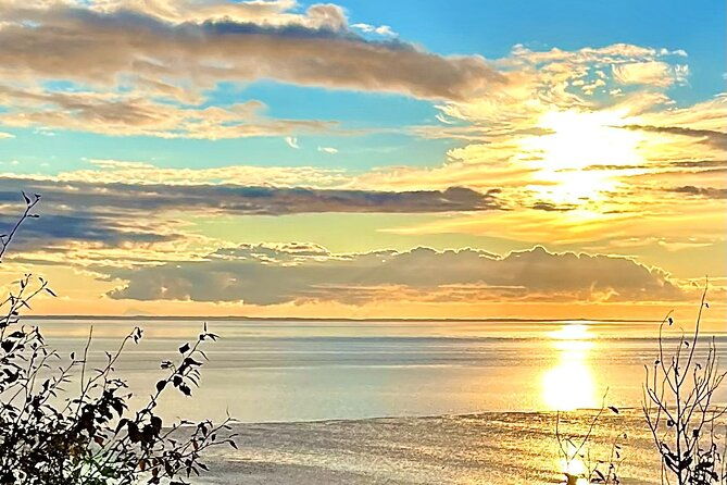 ultimate-anchorage-winter-wildlife-sunset-tour