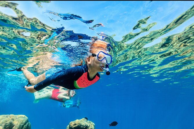 underwater-sculpture-park-snorkel-adventure