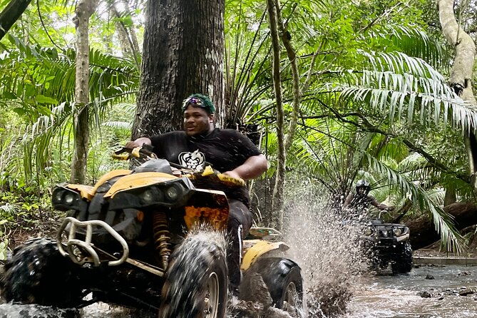 unique-4-wheels-tour-for-families-on-a-private-pineapple-farm