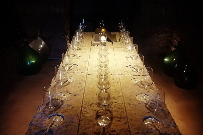 unique-enobike-experience-with-tasting-in-2-excellent-wineries