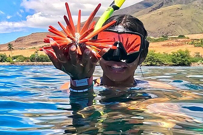 unlimited-guided-snorkeling-tour-for-beginners-plus