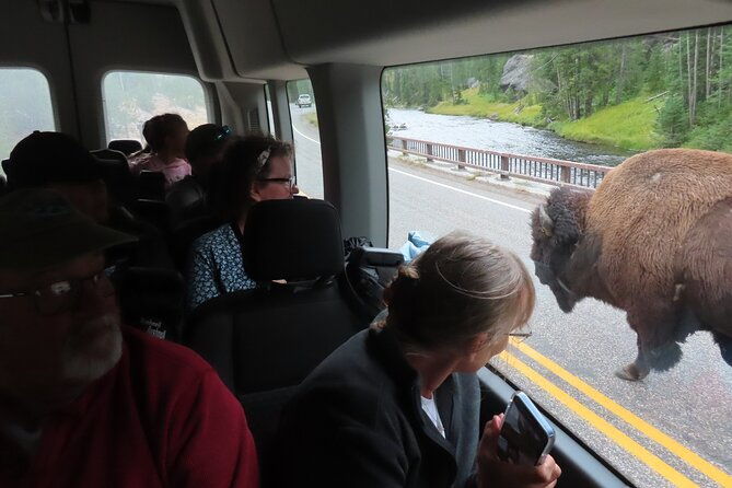 upper-loop-tour-and-lamar-valley-from-west-yellowstone-with-lunch