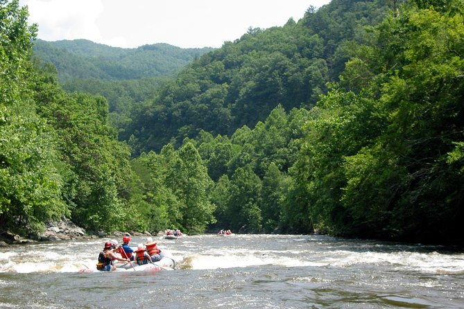 upper-pigeon-river-whitewater-rafting