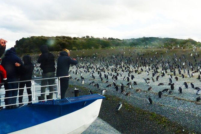 ushuaia-beagle-channel-navigation-to-the-penguin-colony