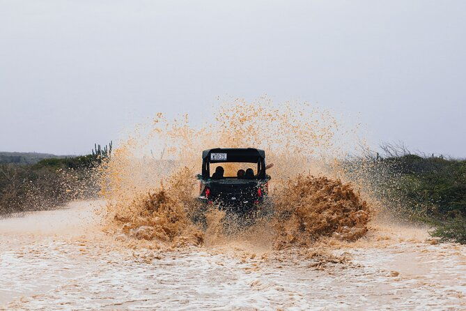 utv-buggy-expedition-in-west-coast