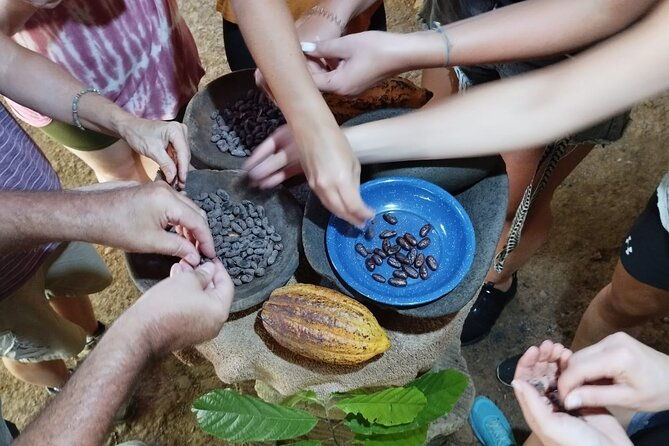 uvita-chocolate-tour