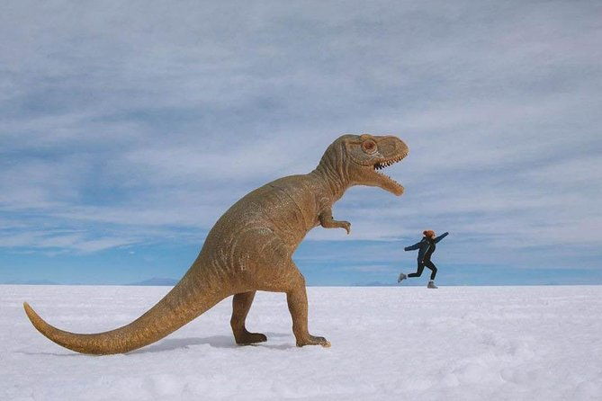 uyuni-salt-flats-day-tour-4-small-group