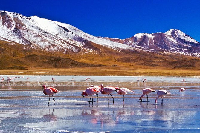 uyuni-salt-flats-full-day-la-paz-uyuni-la-paz