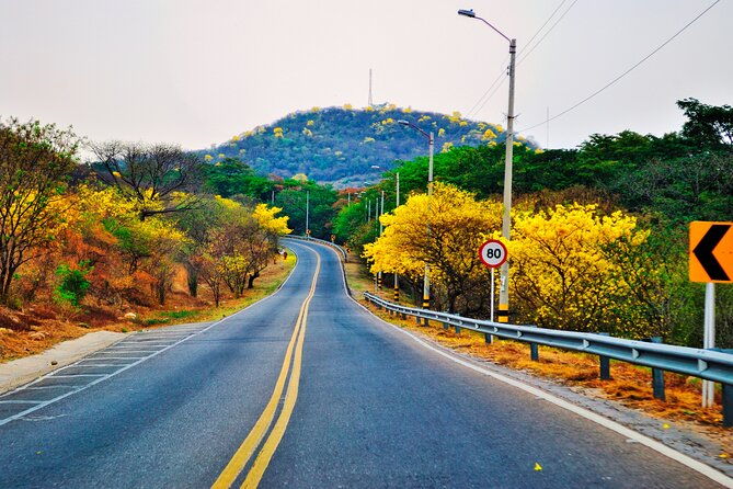vallenato-and-ancestral-tale-valledupar-colombia-south-america
