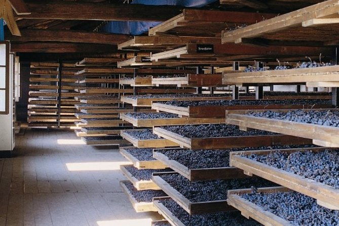 valpolicella-the-wine-paradise