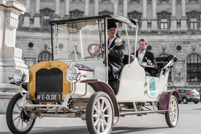 vegan-sightseeing-tour-in-an-electro-vintage-car-incl-schnitzel