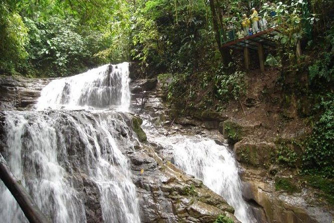 veragua-rainforest-eco-adventure-aerial-tram-tortuguero-canal