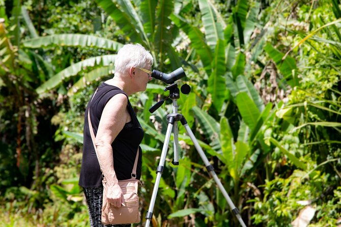 veragua-rainforest-walk-tram-tortuguero-boat-tour-limon-shore-excursion