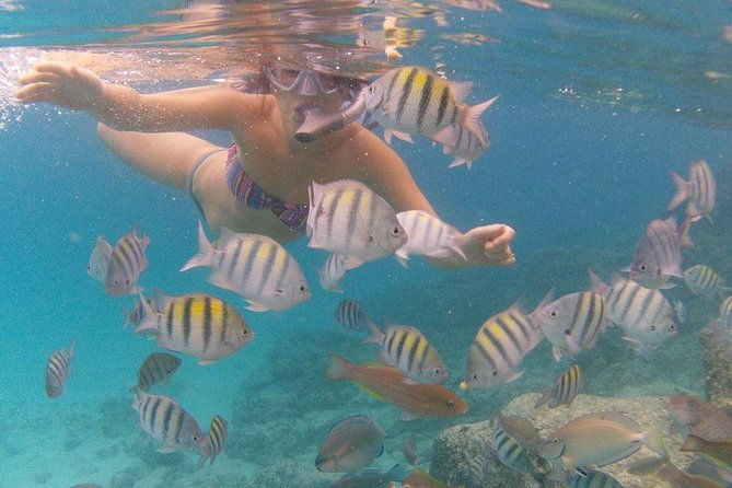 vi-top-taxi-tours-usvi-coki-beach-snorkeling-tour