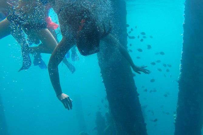 vieques-snorkeling-boat-tour-from-san-juan